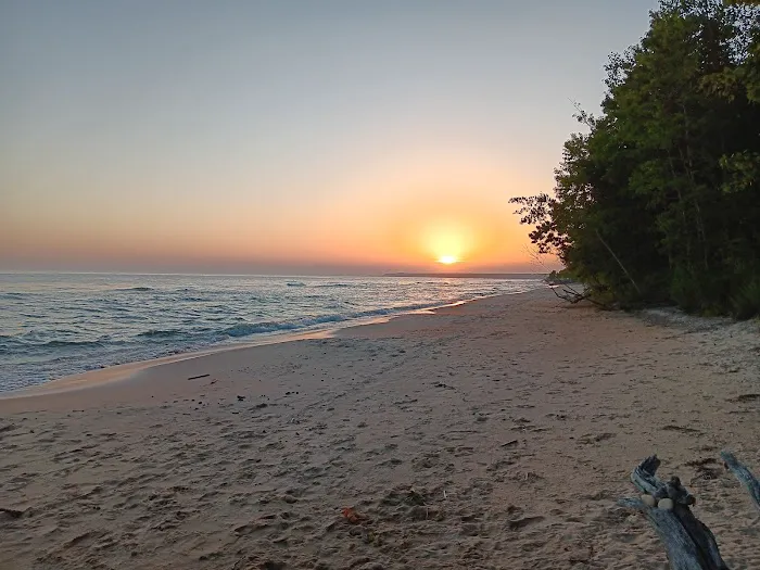 Lake Michigan Campground 8