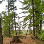 Three Lakes Campground