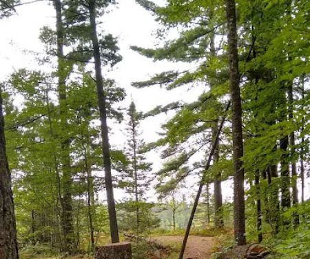 Three Lakes Campground