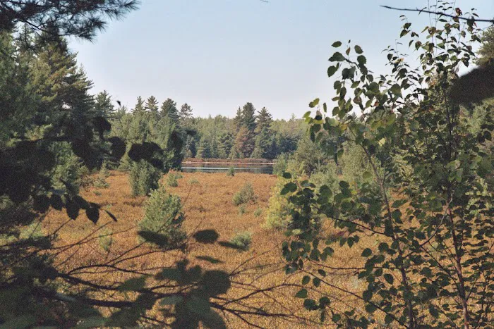 Three Lakes Campground 8