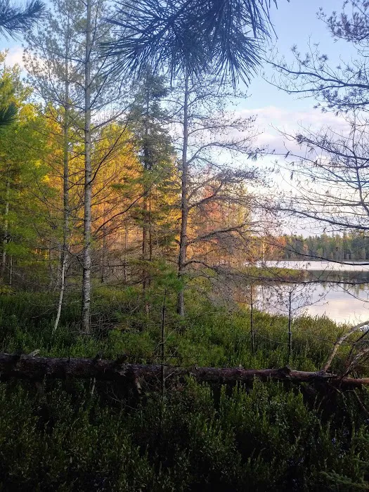 Three Lakes Campground 10