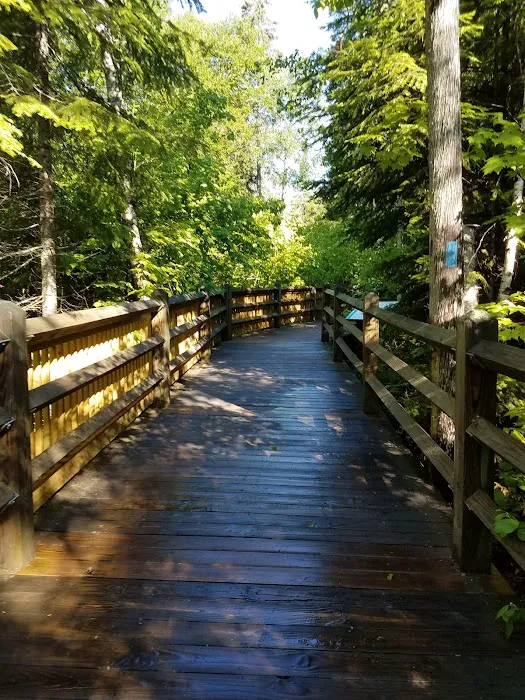 Tahquamenon Falls State Park Rivermouth Campgrounds 1