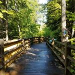 Tahquamenon Falls State Park Rivermouth Campgrounds