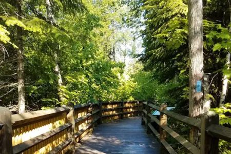 Tahquamenon Falls State Park Rivermouth Campgrounds