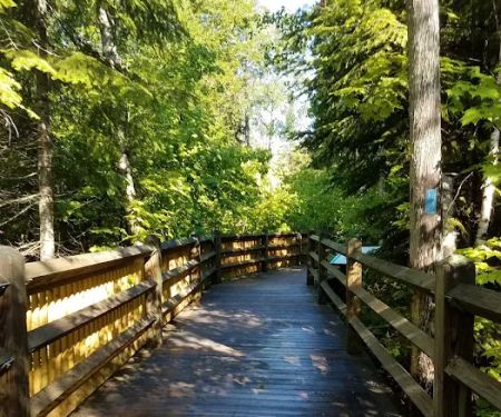 Tahquamenon Falls State Park Rivermouth Campgrounds