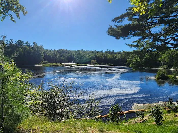 Tahquamenon Falls State Park Rivermouth Campgrounds 6