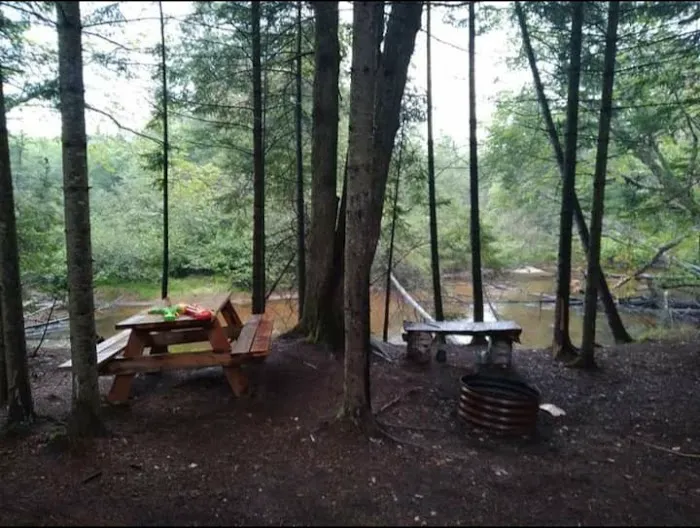 Great Lakes Yurt Camp 1