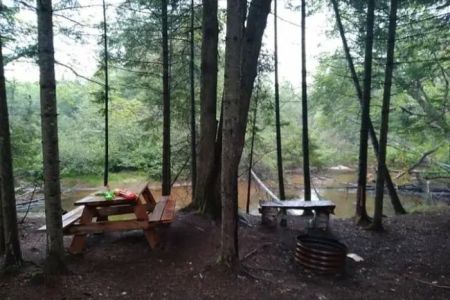Great Lakes Yurt Camp