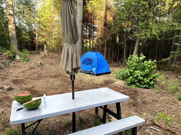 Just Show Up Campground 5
