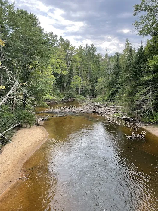 Carp River Campground 6
