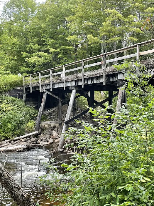 Carp River Campground 4