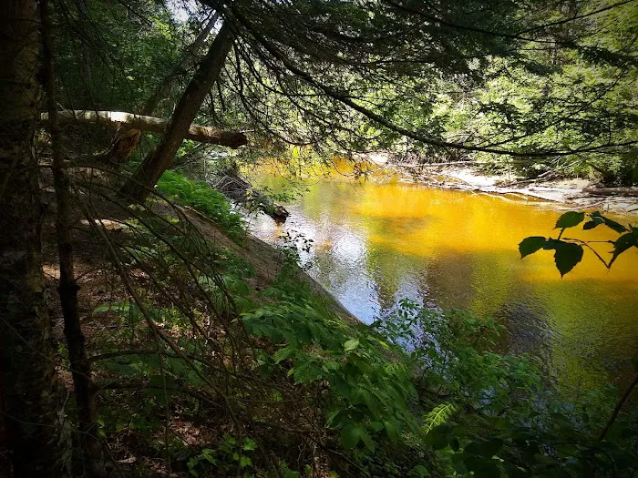 Carp River Campground 7