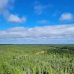 Castle Rock Lakefront Campground