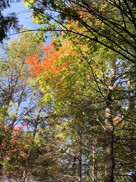 St Ignace KOA 7