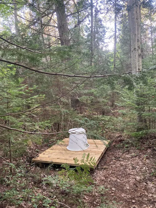 Wilderness State Park Campground 7