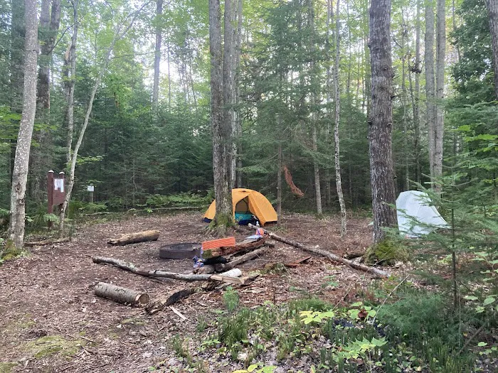 Wilderness State Park Campground 8
