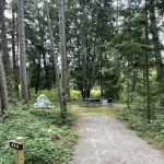 Wilderness State Park Campground