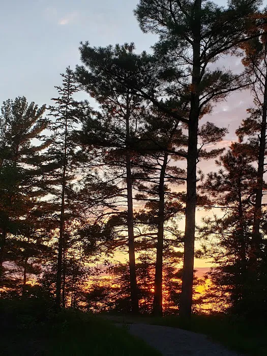 Wilderness State Park Campground 10
