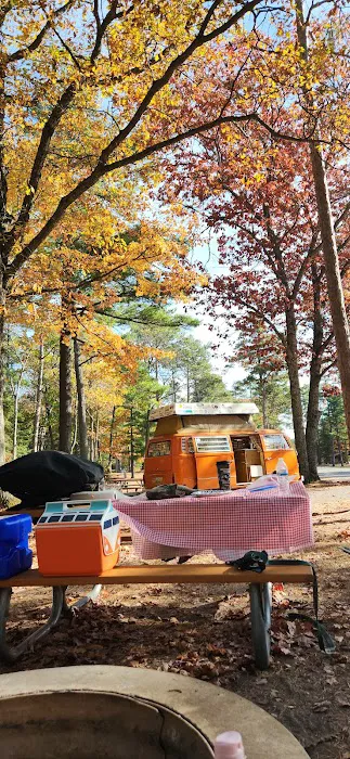 Wilderness State Park Campground 4