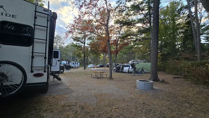 Wilderness State Park Campground 7
