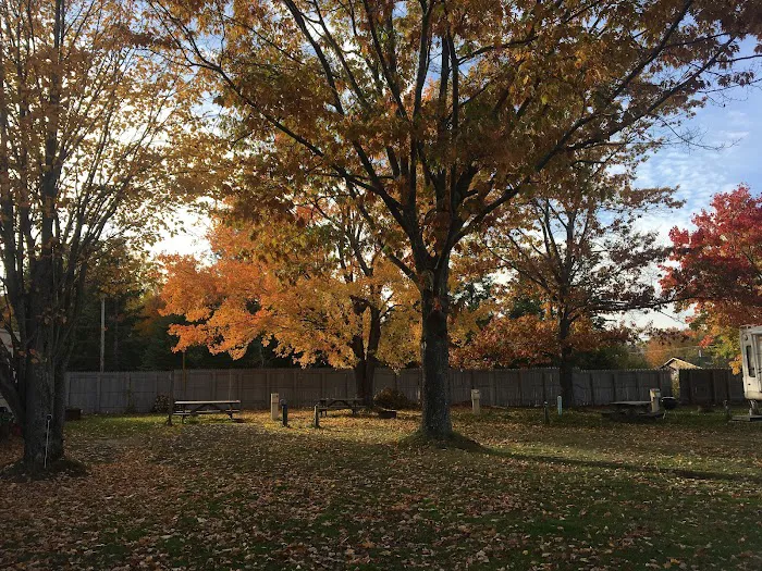 Anchor Inn Campground & Cabins 9