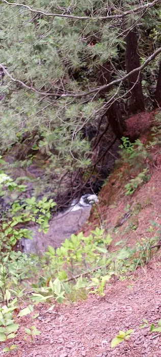 Amnicon Falls Campground 5