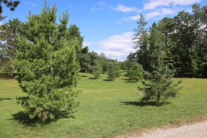 Camp Rivers Campground 6