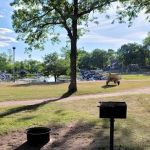 Stuart's Leisure Acres