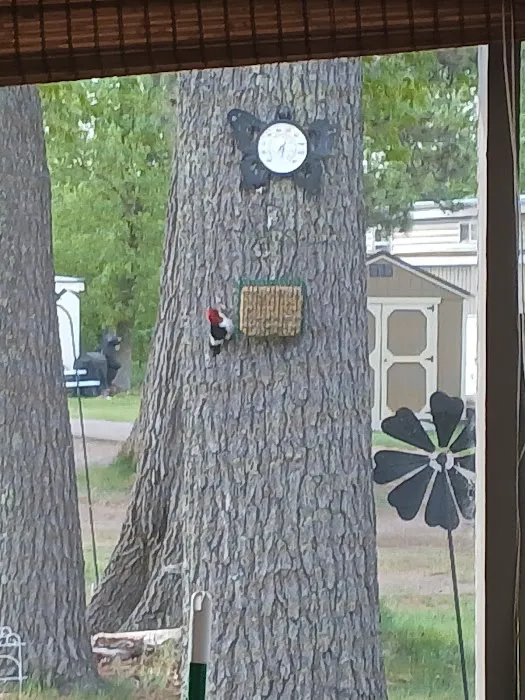 The Ridge Campground 2