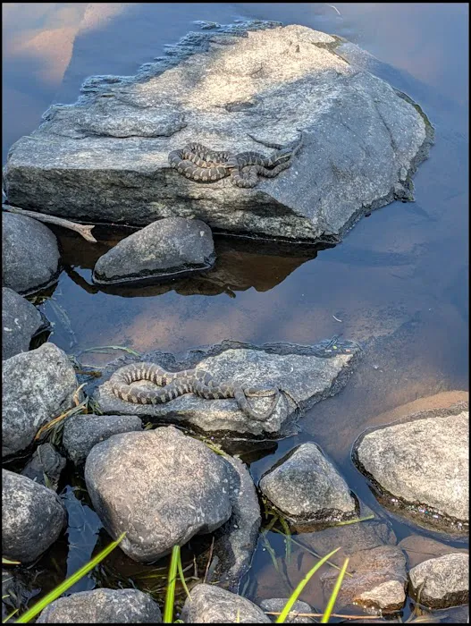 Sioux Portage Group Campground 3