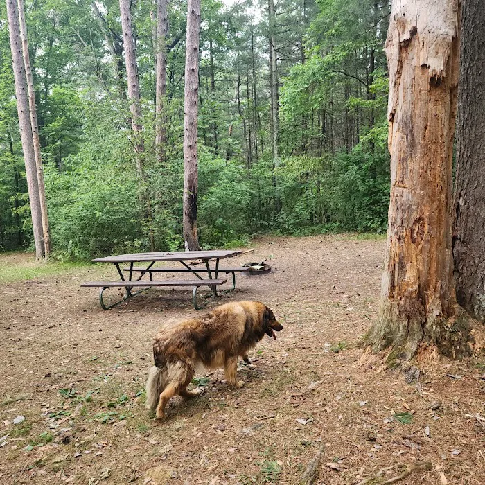 Sandrock Cliffs Campground 1