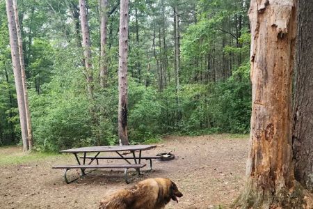 Sandrock Cliffs Campground