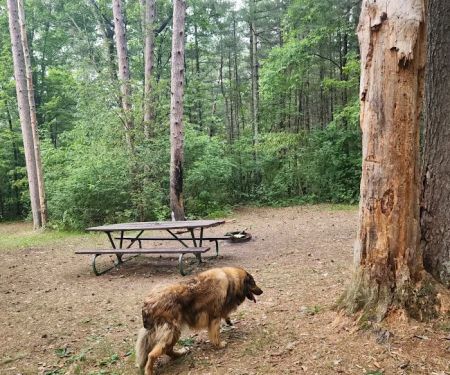 Sandrock Cliffs Campground