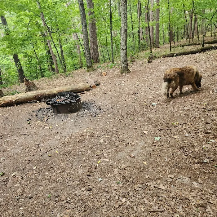 Sandrock Cliffs Campground 9