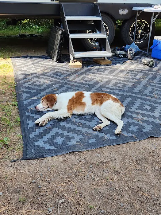 Snake River Campground 5