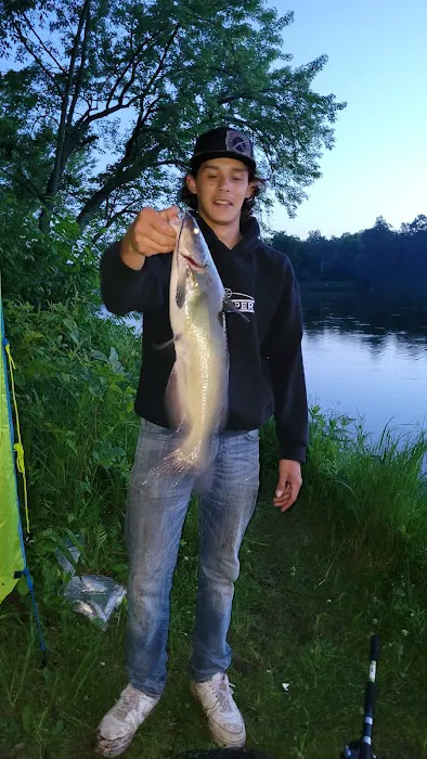 Fox Landing 3