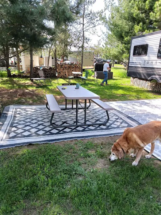 Pardun's Jack Pine Campground 4