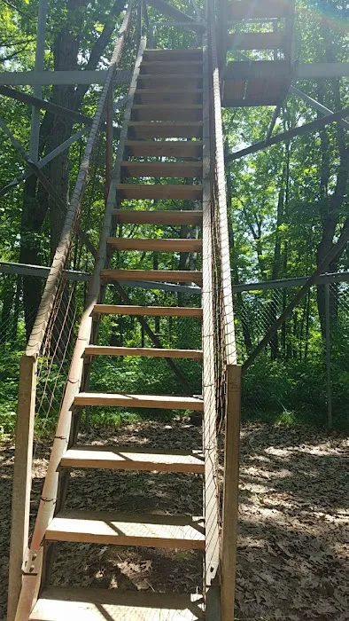 Paint Rock Spring Campground 8