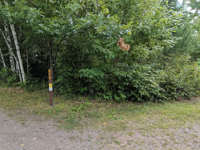 Old Logging Trail Campground 7