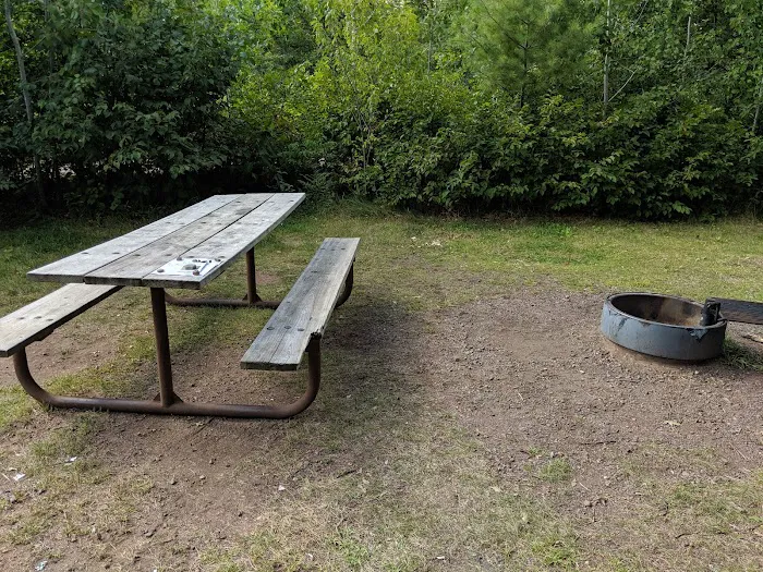 Old Logging Trail Campground 6