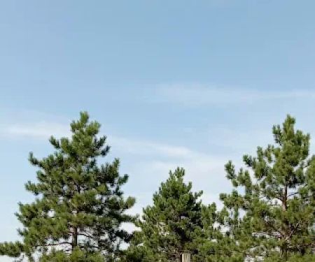 Equestrian Campground