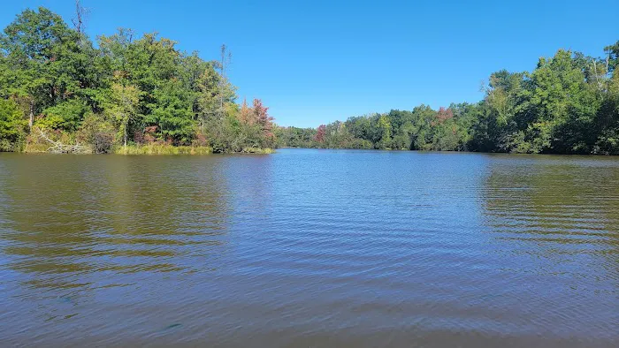 Norway Point Group Campground 6