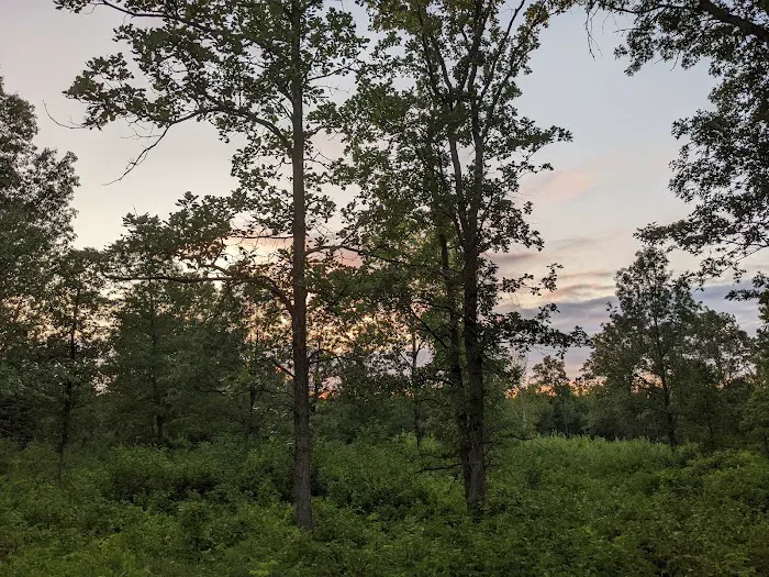 Norway Point Group Campground 8