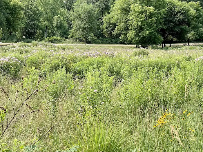 Beaver Falls County Park 10