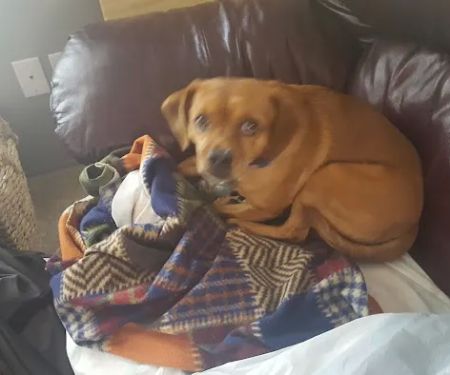 Rockford Riverview Estates