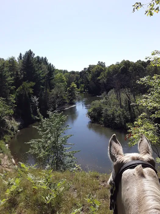 Hopkins Creek Trail Campground 6