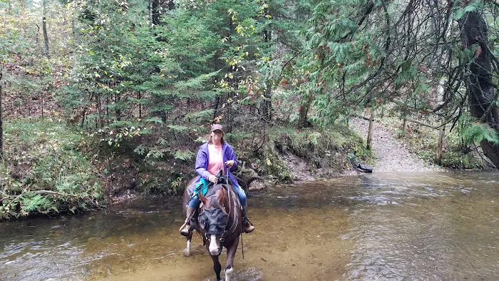 Hopkins Creek Trail Campground 7