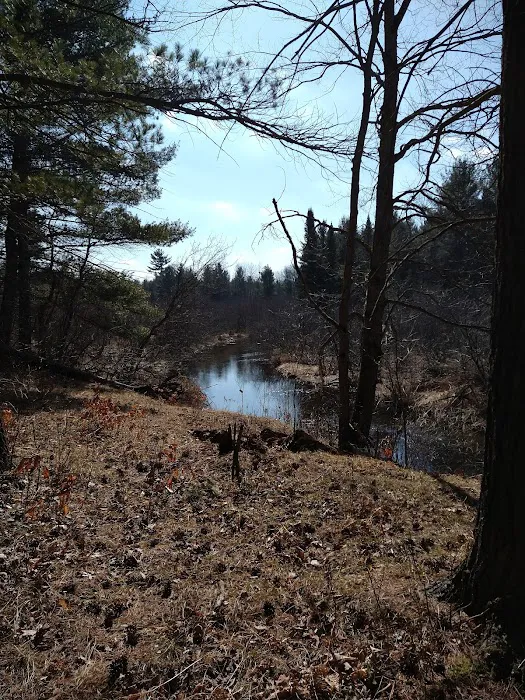 Hopkins Creek Trail Campground 3