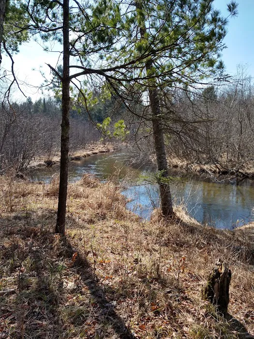 Hopkins Creek Trail Campground 9
