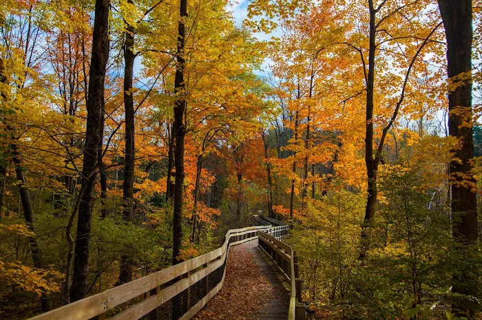 Chippewa Landing 4